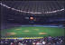 Inside the Kingdome