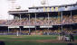 Looking toward right field.