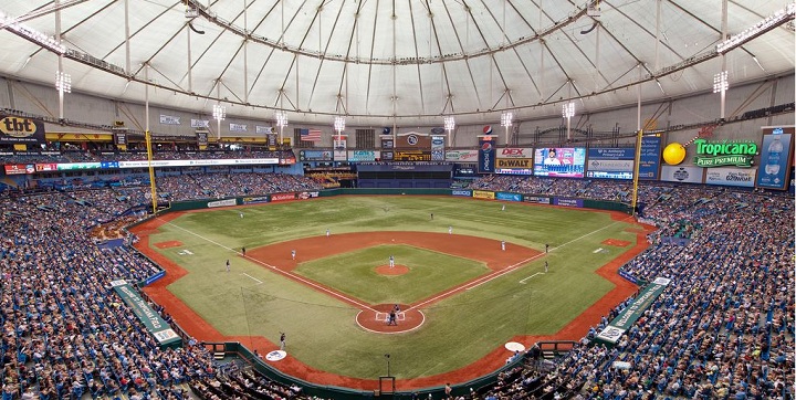 View from the upper deck at Tropicana Field - Picture: Mark Whitt